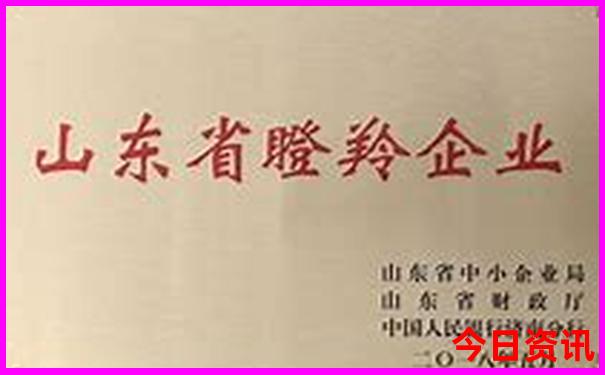 今年适合去哪里旅游